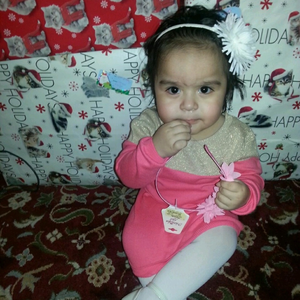 Meet your Posher, Sylvia